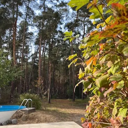 Semesterbostad Modernes Waldhaus Im Spreewald