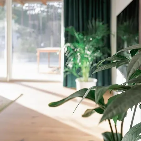 度假居 Modernes Waldhaus Im Spreewald