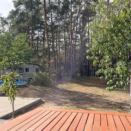 Modernes Waldhaus Im Spreewald