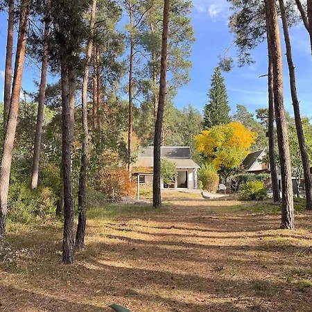 Modernes Waldhaus Im Spreewald Semesterbostad