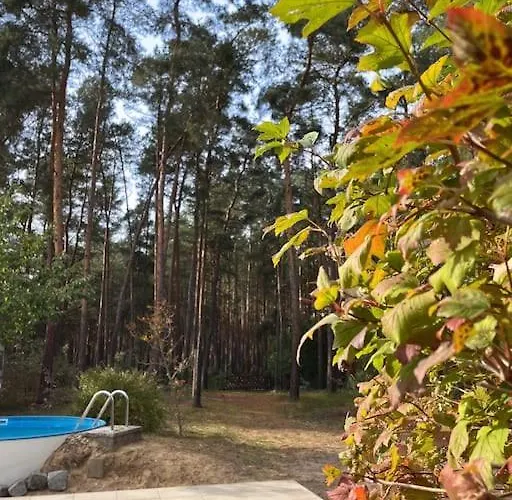 펜션 Modernes Waldhaus Im Spreewald