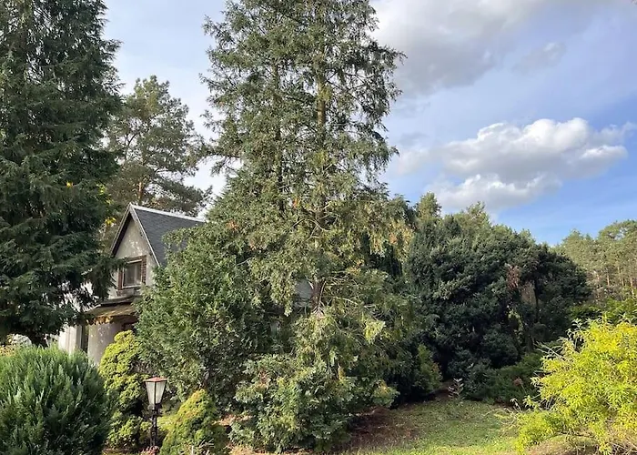 Prázdninový dům Modernes Waldhaus Im Spreewald Lübben