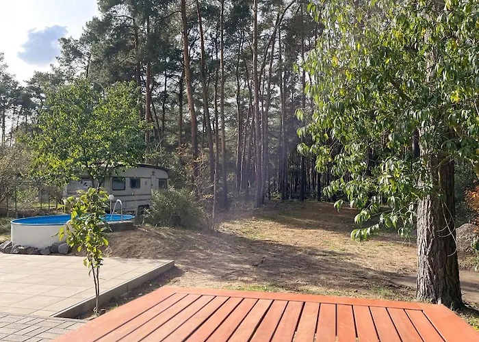 Modernes Waldhaus Im Spreewald