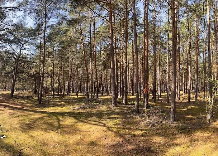 Modernes Waldhaus Im Spreewald Prázdninový dům
